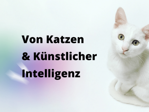 Beitragsbild Blogbeitrag Über Katzen und Künstliche Intelligent: Die Produktentwicklung bei capito