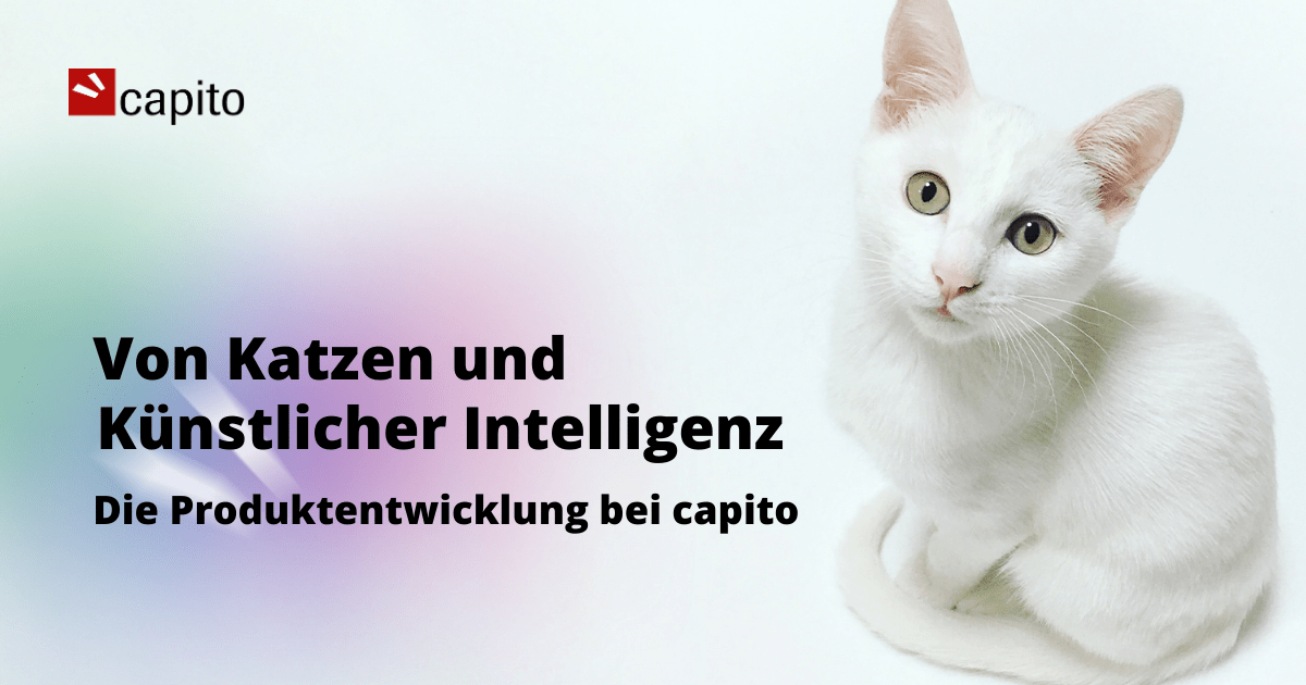 Produktentwicklung capito - Header Blogbeitrag Über Katzen und Künstliche Intelligent