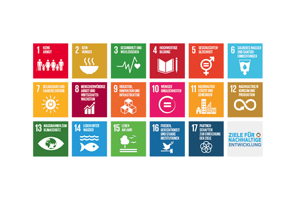 Ein Bild der SDGs.